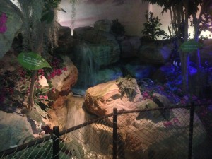 Science Museum Zoo 070